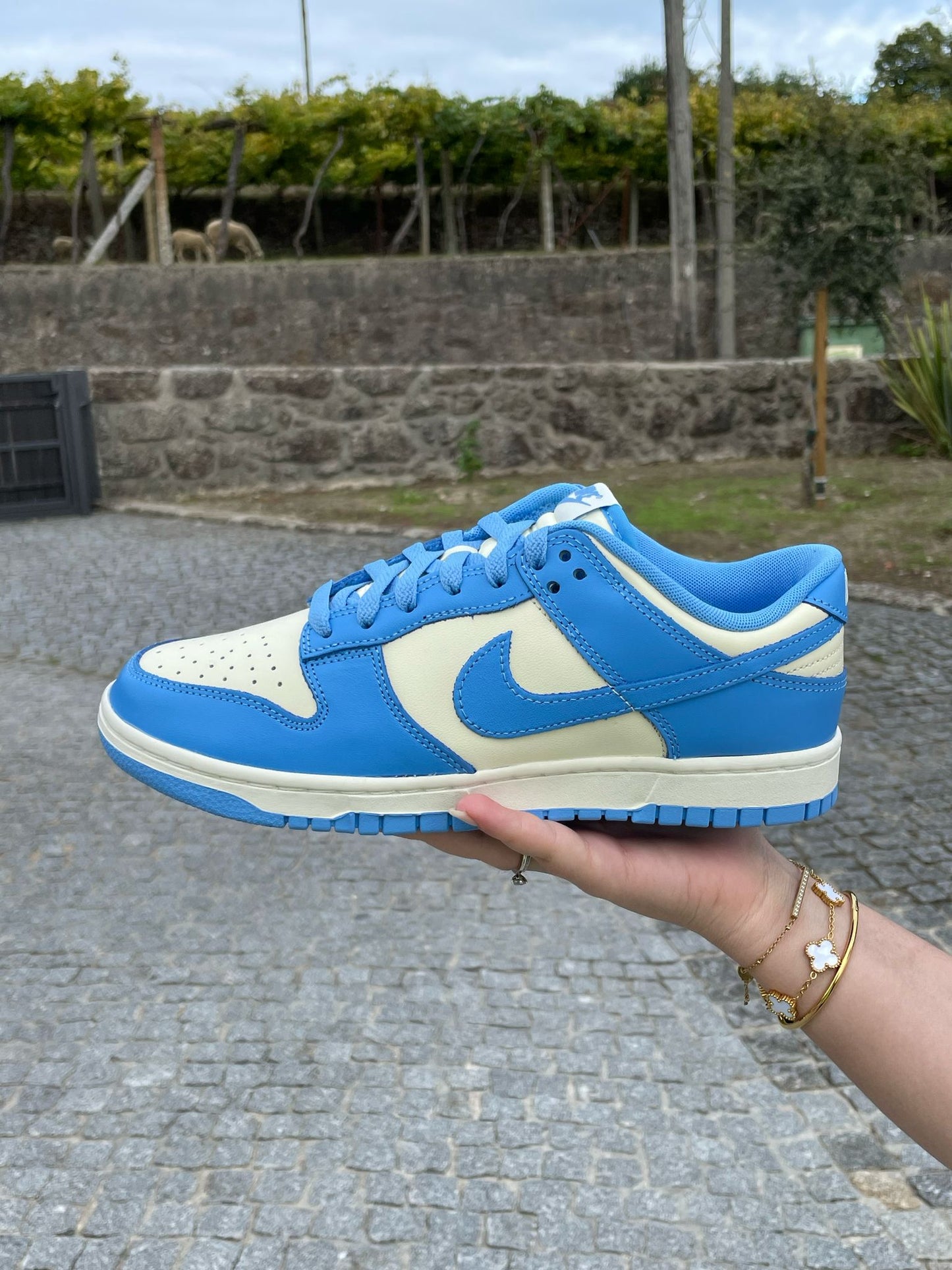 Nike Dunk Low - University Blue